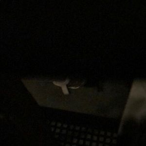 Meet your Posher, Henry